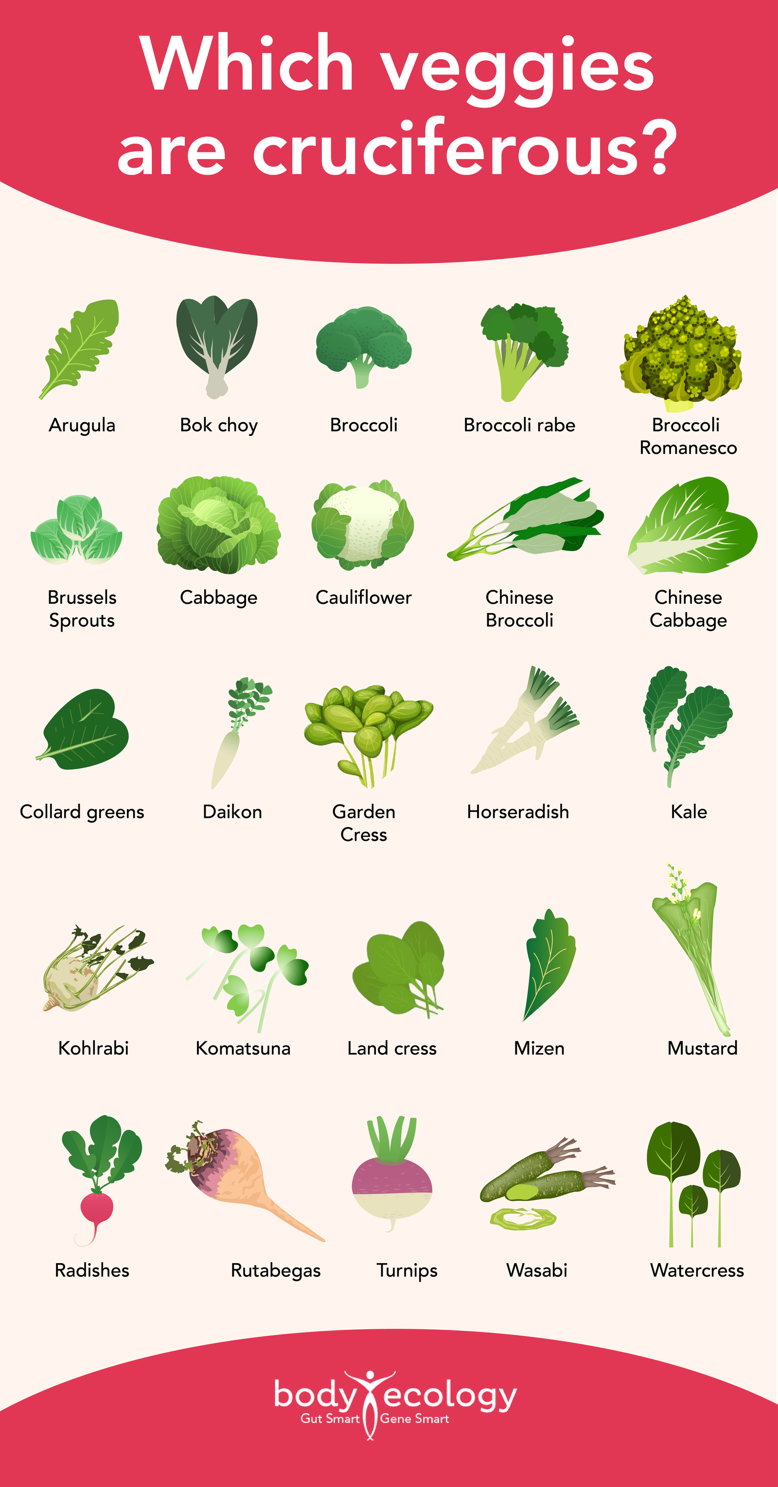 raw food diet