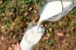 types of milk