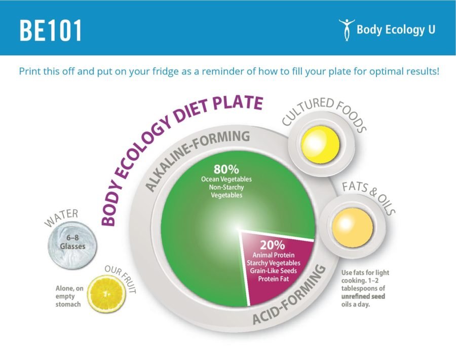 Body Ecology Diet Plate