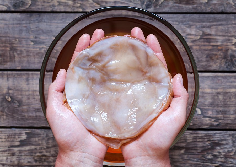 Kombucha mushroom pro biotic in unrecognizable man hand on vinta