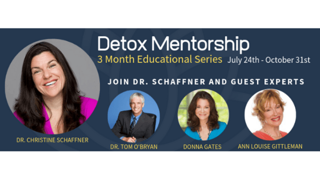 90-Day Detox Mentorship Program