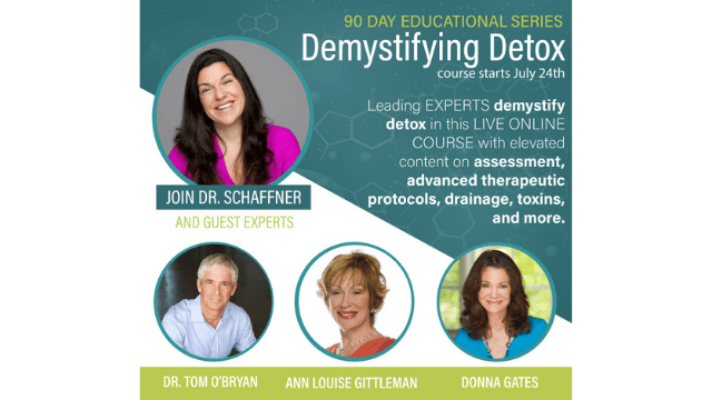 dr. christine shaffner donna gates demystifying detox module 1