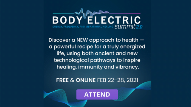 Dr. Christine Schaffner's Body Electric Summit