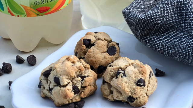 probiotic protein cookies