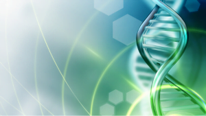 stress can negatively affect genetics, research suggests