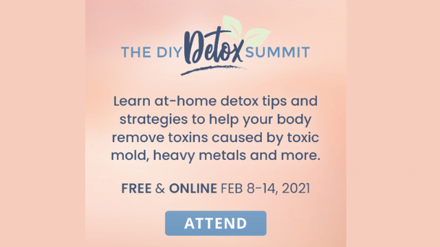 The DIY Detox Summit
