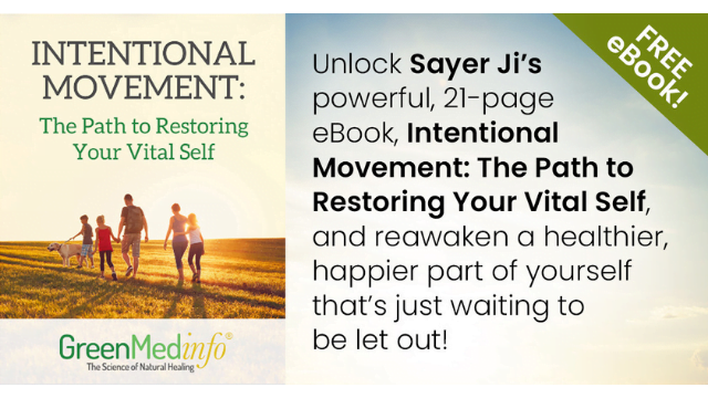 Sayer Ji Intentional Movement eGuide + Regenerate Masterclass
