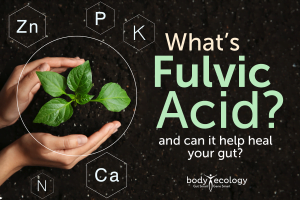 fulvic acid