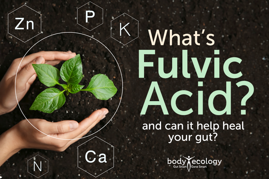 fulvic acid