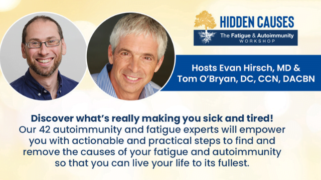 Hidden Causes Fatigue and Autoimmunity Workshop