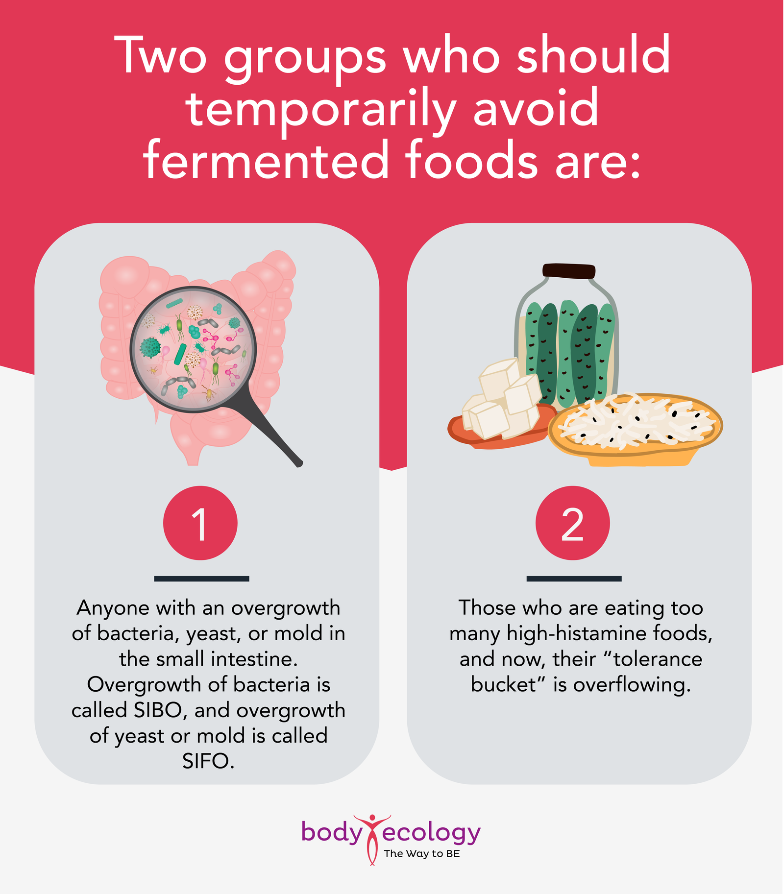 fermented vegetables