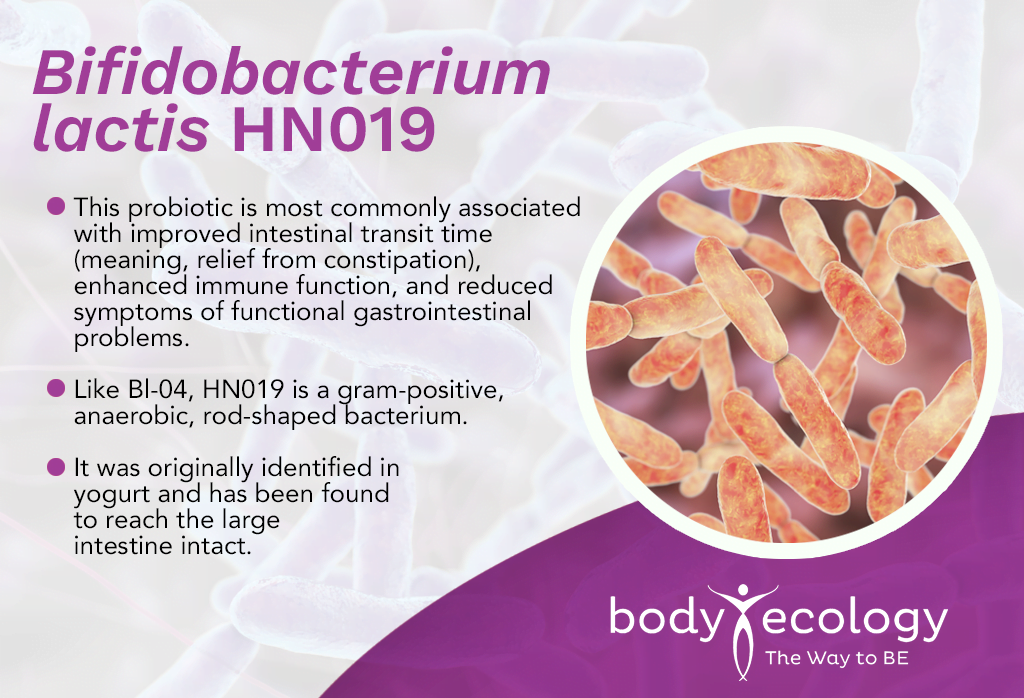 best probiotic