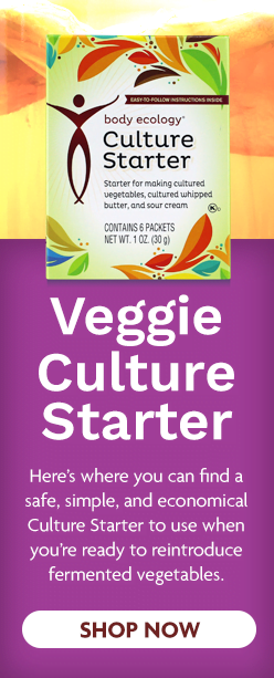 fermented vegetables