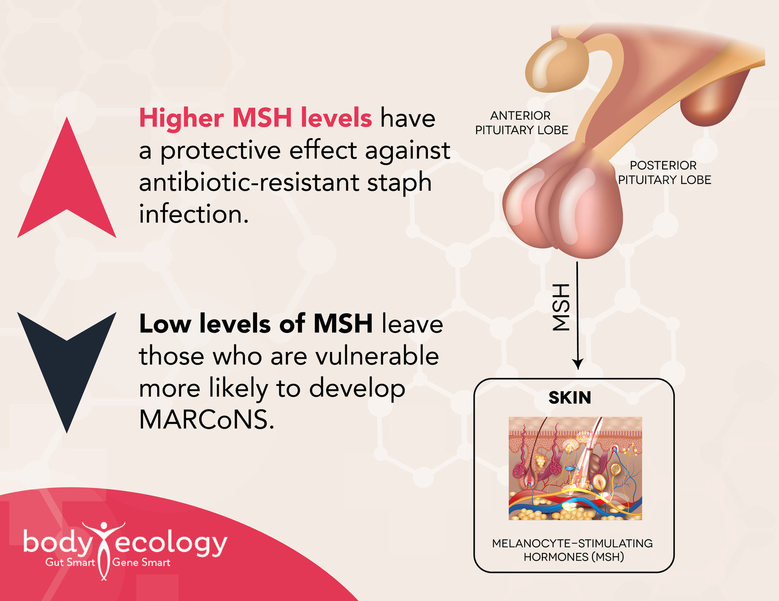 nasal staph infection
