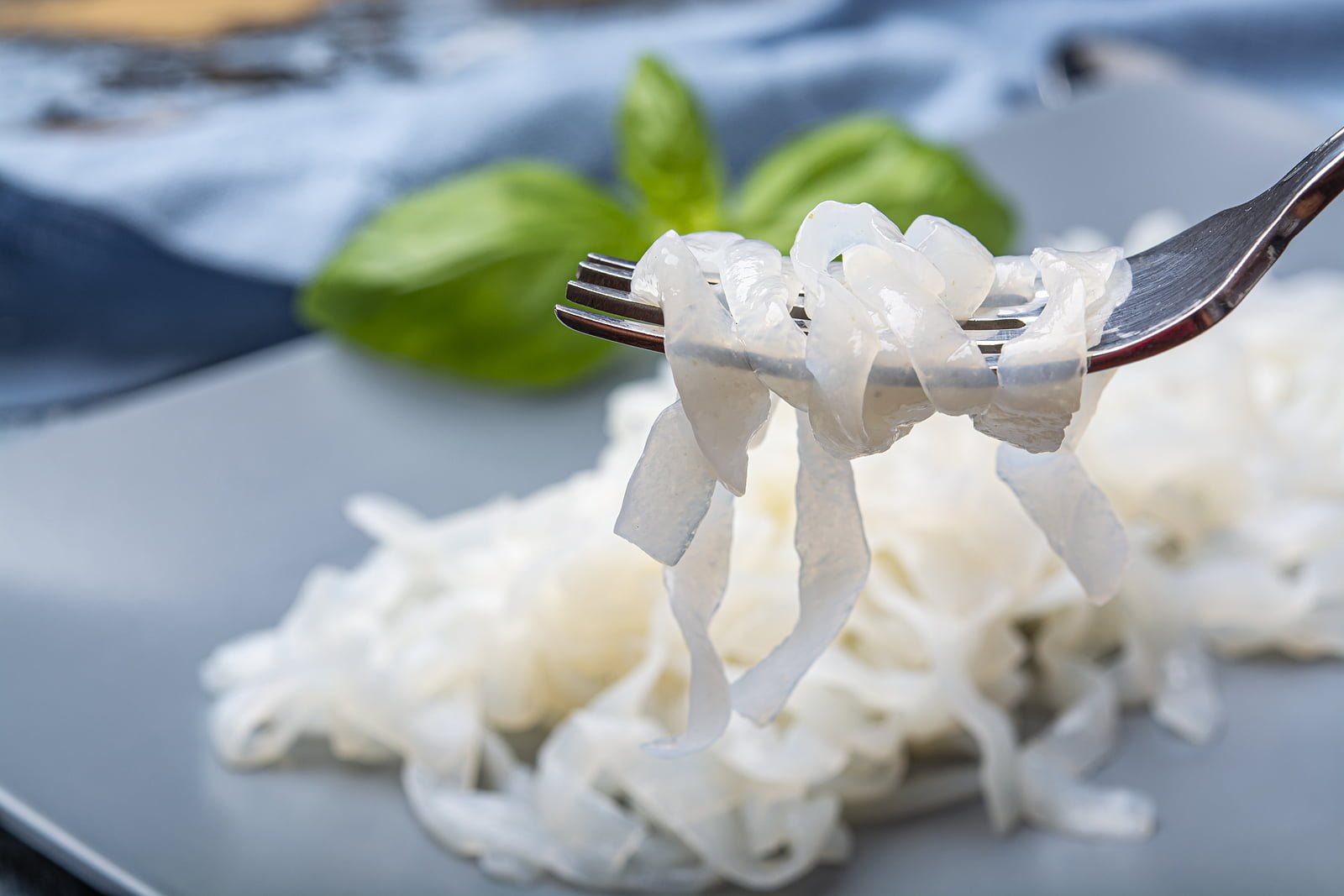White konjac shirataki noodles